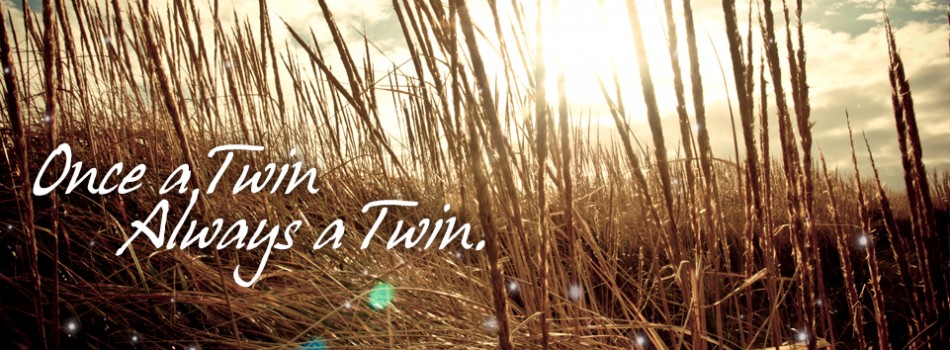 once a twin always a twin
